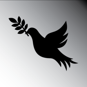 Elemento Funeraria 001